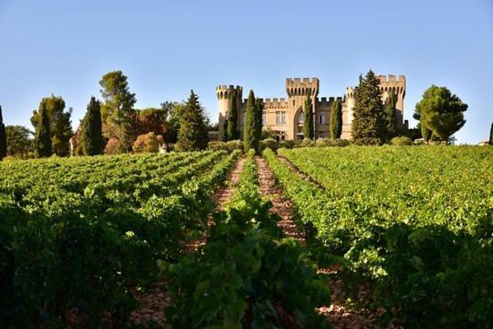 Bienvenue Chez Shiva Appartement Châteauneuf-du-Pape Buitenkant foto