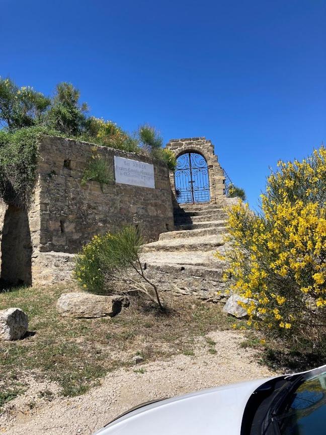 Bienvenue Chez Shiva Appartement Châteauneuf-du-Pape Buitenkant foto
