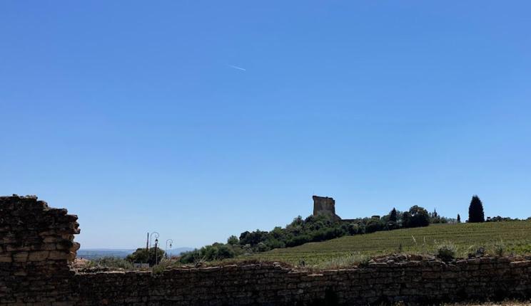 Bienvenue Chez Shiva Appartement Châteauneuf-du-Pape Buitenkant foto